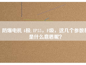 防爆電機(jī) 4極, IP55，F(xiàn)級(jí)，這幾個(gè)參數(shù)都是什么意思呢？
