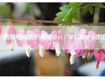 防爆電機(jī)防護(hù)等級(jí)IP65，IP55和IP54的區(qū)別