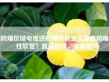 防爆區(qū)域電纜進(jìn)防爆電機(jī)是否需要防爆撓性軟管？直接進(jìn)線，有依據(jù)嗎