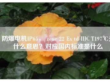 防爆電機(jī)IP65， zone 22 Ex td IIIC T197℃是什么意思？對(duì)應(yīng)國(guó)內(nèi)標(biāo)準(zhǔn)是什么