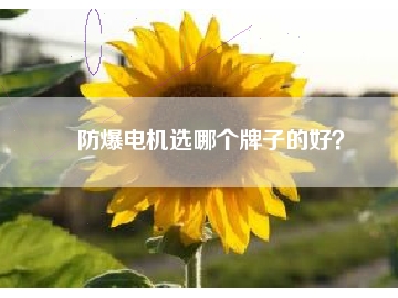 防爆電機選哪個牌子的好？