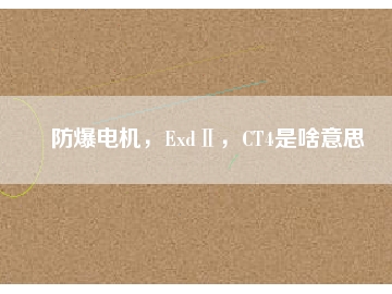 防爆電機(jī)，ExdⅡ，CT4是啥意思