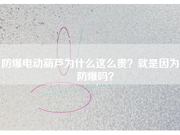 防爆電動(dòng)葫蘆為什么這么貴？就是因?yàn)槟芊辣瑔幔?></div>
                            <div   id=