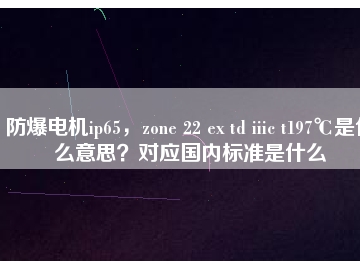 防爆電機(jī)ip65，zone 22 ex td iiic t197℃是什么意思？對(duì)應(yīng)國(guó)內(nèi)標(biāo)準(zhǔn)是什么