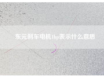 東元?jiǎng)x車(chē)電機(jī)1hp表示什么意思