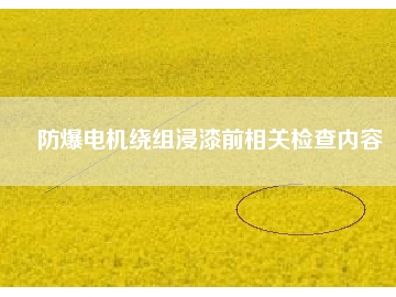 防爆電機繞組浸漆前相關檢查內容