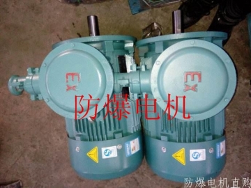 防爆電機(jī)分類：防爆電機(jī)選型、參數(shù)、定義