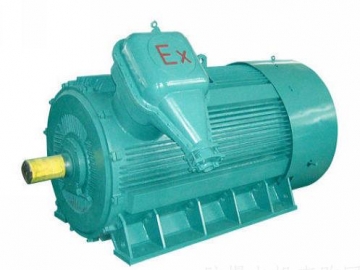 防爆電機(jī)如何出現(xiàn)掃膛、振動(dòng)、軸承過(guò)熱要怎么處理