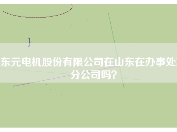 東元電機股份有限公司在山東在辦事處或分公司嗎？