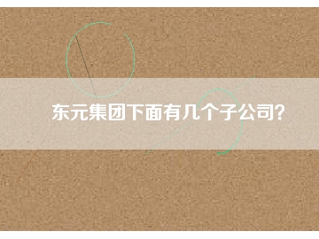 東元集團下面有幾個子公司？