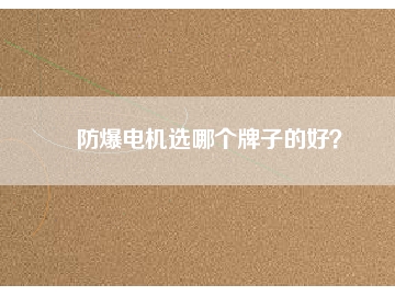 防爆電機(jī)選哪個(gè)牌子的好？