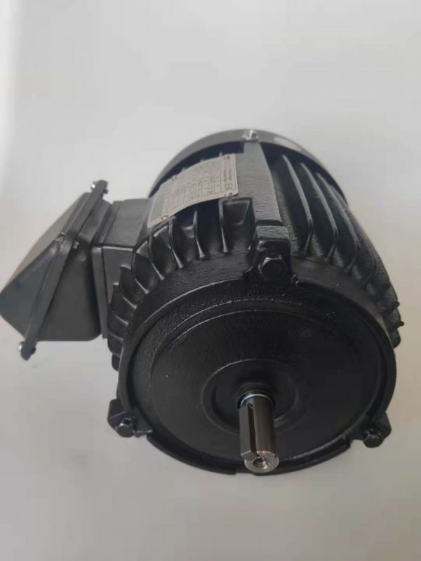 永磁電機(jī) DVEX  55KW  3000RPM  F#180L IE4效率電機(jī)