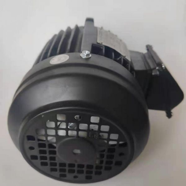 永磁電機(jī) DVEX  55KW  3000RPM  F#180L IE4效率電機(jī)