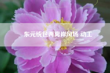東元統(tǒng)包兩離岸風(fēng)場 動工