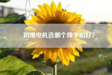 防爆電機(jī)選哪個牌子的好？