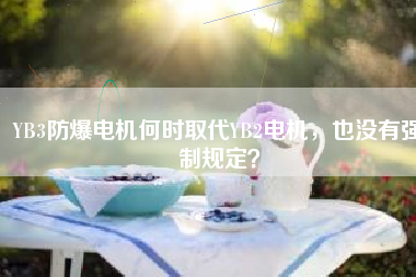 YB3防爆電機何時取代YB2電機，也沒有強制規(guī)定？