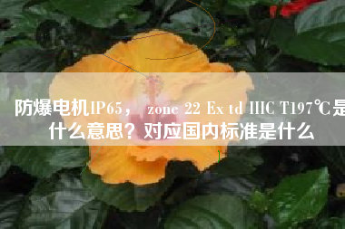 防爆電機(jī)IP65， zone 22 Ex td IIIC T197℃是什么意思？對(duì)應(yīng)國內(nèi)標(biāo)準(zhǔn)是什么