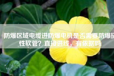 防爆區(qū)域電纜進防爆電機是否需要防爆撓性軟管？直接進線，有依據(jù)嗎