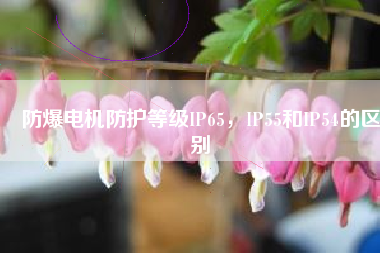 防爆電機(jī)防護(hù)等級(jí)IP65，IP55和IP54的區(qū)別