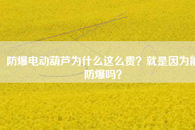 防爆電動(dòng)葫蘆為什么這么貴？就是因?yàn)槟芊辣瑔幔? title=