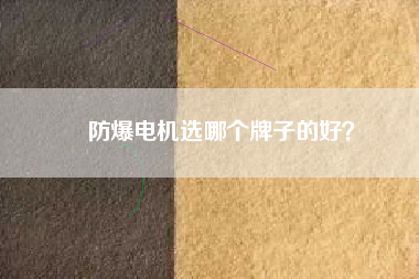 防爆電機(jī)選哪個牌子的好？