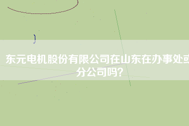 東元電機(jī)股份有限公司在山東在辦事處或分公司嗎？