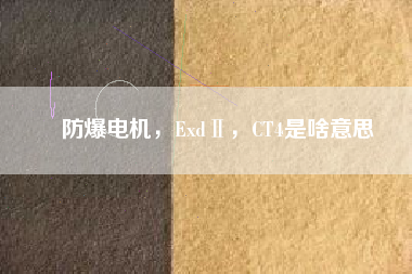 防爆電機(jī)，ExdⅡ，CT4是啥意思