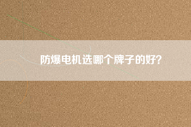 防爆電機選哪個牌子的好？