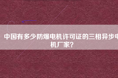 中國(guó)有多少防爆電機(jī)許可證的三相異步電機(jī)廠家？