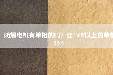 防爆電機(jī)有單相的嗎？要750W以上的單相220V
