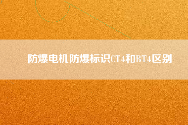 防爆電機防爆標(biāo)識CT4和BT4區(qū)別