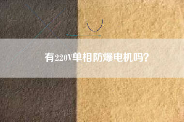 有220V單相防爆電機嗎？