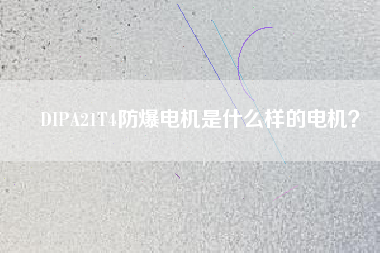 DIPA21T4防爆電機是什么樣的電機？